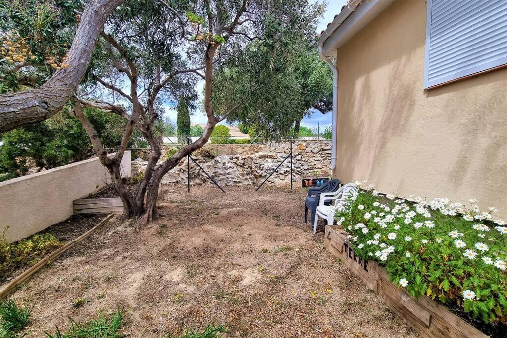 Charmante Maison, Idealement Situee Fitou エクステリア 写真